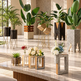 Plant Pots