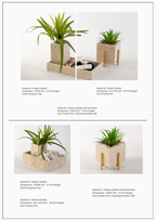 Multi Purpose Box INS-024